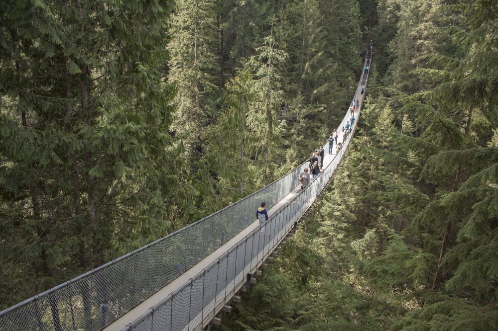 capilano-suspension-bridge-1393076_1920.jpg